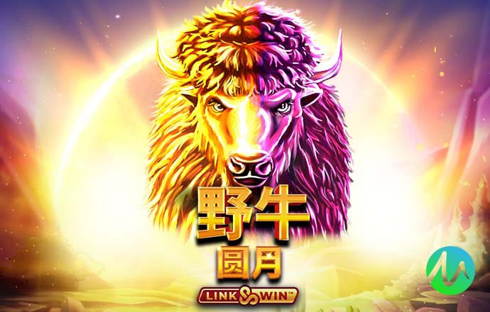 55世纪平台正规吗